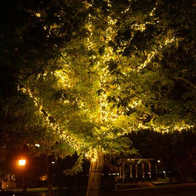 Harderwijk, Nederland