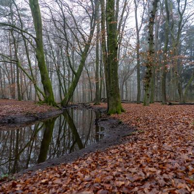 Hierderweg, Hulshorst, Nederland