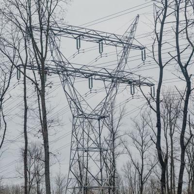 Pluvierenweg, Zeewolde, Nederland