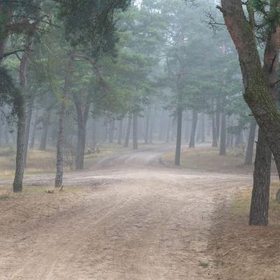 Stuifzandpad, Harderwijk, Nederland