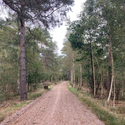 Oefenterrein Beekhuizerzand, Harderwijk, Nederland