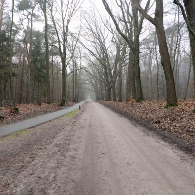 Hierderweg, Hulshorst, Nederland