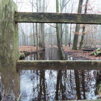 Poolseweg, Hulshorst, Nederland